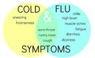 Keep the Flu at Bay